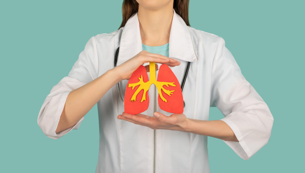 Female doctor with a stethoscope is holding mockup lungs. Help and care concept